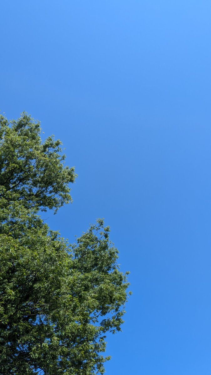 FSnakano's tweet photo. おはようございます
こちら川崎市
ピーカン良い天気☀️

キレイな青空です😊
6月スタート
のんびりいきましょう〜

開店9時
閉店17時半💁
#企業公式が朝の挨拶を言い合う
 #企業公式相互フォロー
👇当店インスタ裏垢もフォロ
https://t.co/LoruzGKD36 https://t.co/DzvQe5O2T8