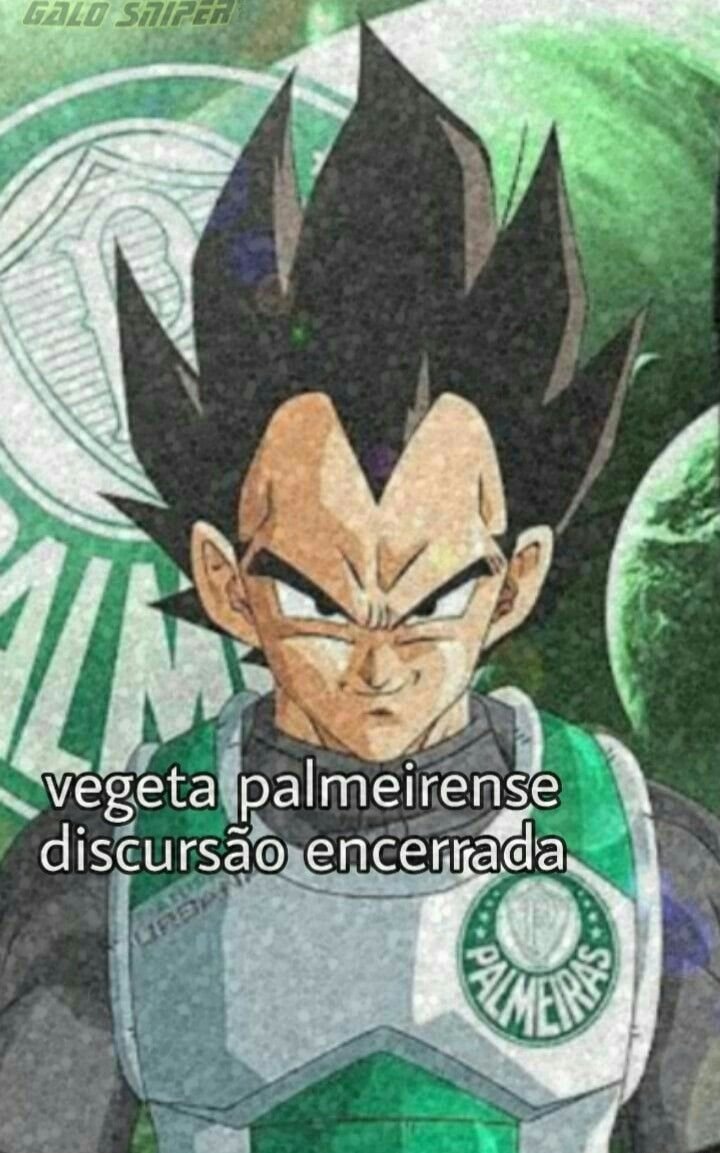 archivepalestra's tweet photo. vegeta palmeirense discussão encerrada https://t.co/G5diy1HJ15
