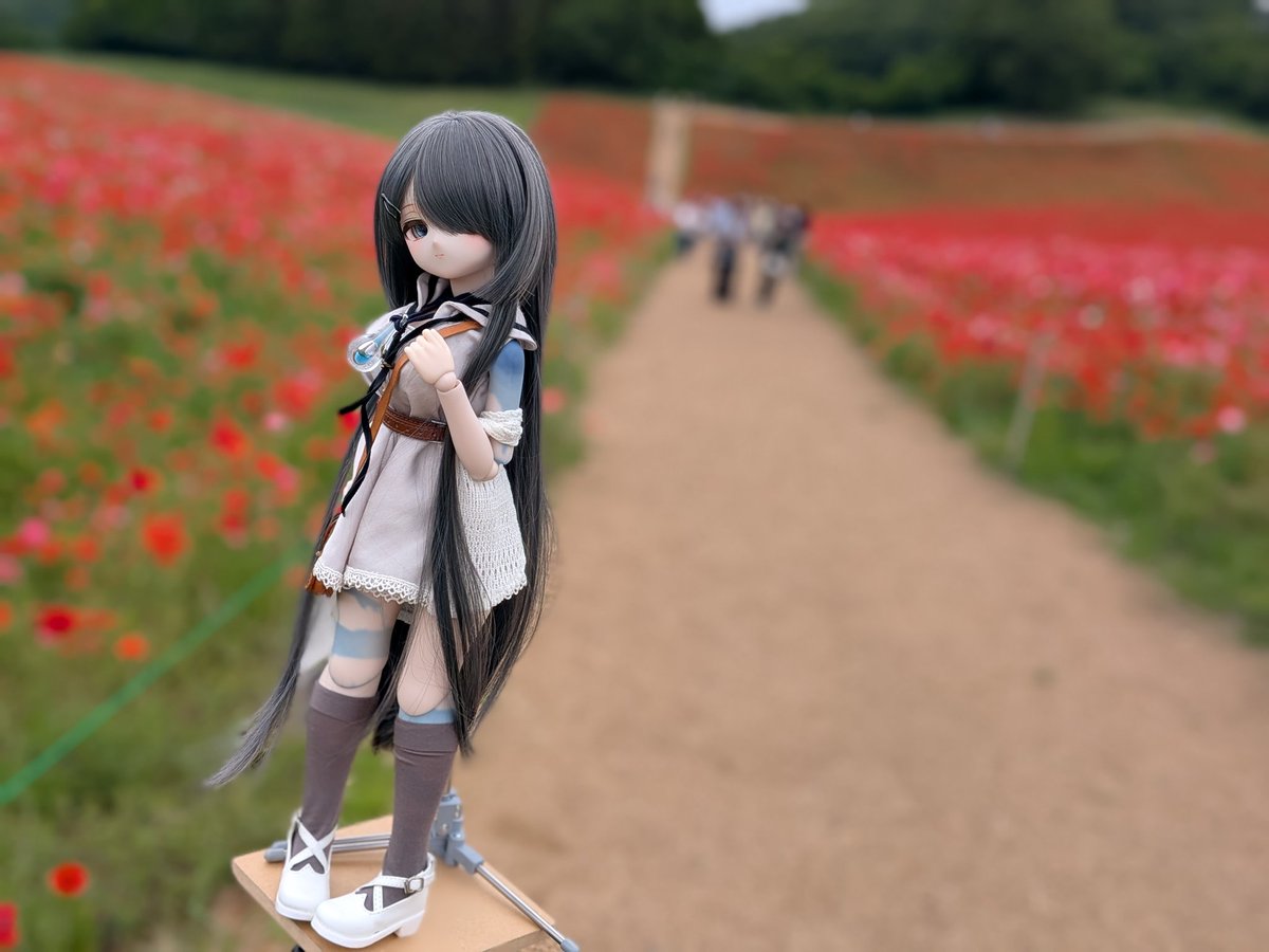 きな屋 (@sera_k) / Posts / X