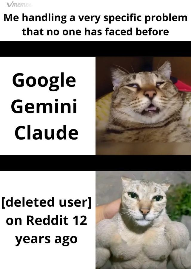 MemesToSave's tweet photo. https://t.co/L5K3vCsAFE