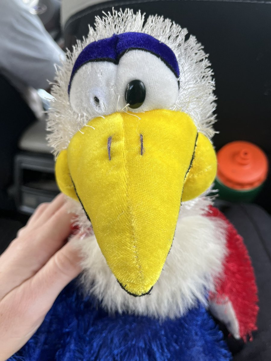 Relhem87's tweet photo. Gloop lost an eye ! https://t.co/Nl9ykg91Z2