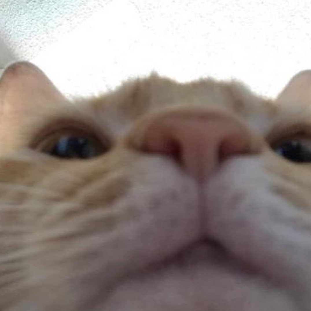 deskerveinte's tweet photo. @CartoonsOTMoon No entiendo la referencia del pastel, alguien me explica o donde puedo ver el video de la referencia https://t.co/0OMeYo4Sv9