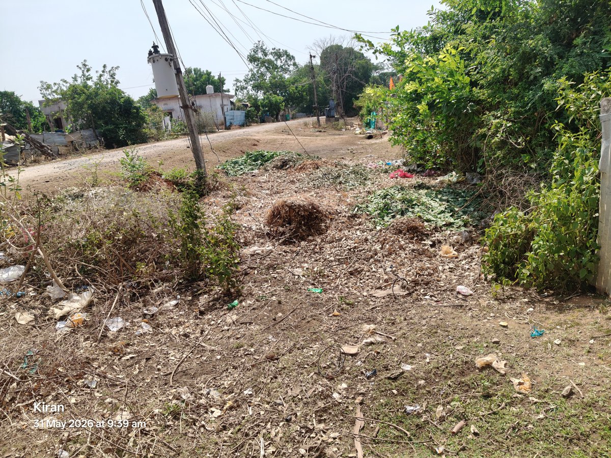 nomulaphy's tweet photo. Urgent: Public health crisis in Mittagudem, Kukunoor Mandal, Eluru Dist. 🚨 3 years of illegal dumping of 'Jam Oil' plant waste near the main road/transformer is blocking drainage and causing severe mosquito breeding. Requesting immediate cleanup! https://t.co/tLxDEPT8bI
