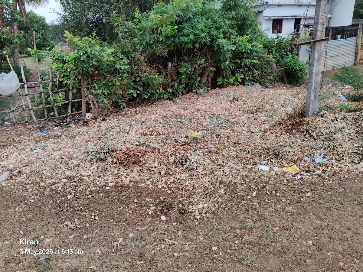 nomulaphy's tweet photo. Urgent: Public health crisis in Mittagudem, Kukunoor Mandal, Eluru Dist. 🚨 3 years of illegal dumping of 'Jam Oil' plant waste near the main road/transformer is blocking drainage and causing severe mosquito breeding. Requesting immediate cleanup! https://t.co/tLxDEPT8bI