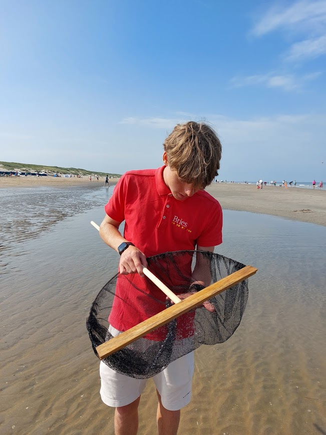 robdebadman's tweet photo. Goedemorgen, vandaag/maandag schijnt de zon☀️ op het strand, tussen 9.00 uur en 18.00 uur veel meer dan in het binnenland...  ongeveer 5 kilometer van de kust ontstaat er helaas veel bewolking😕 maar daar hebben wij geen last van. https://t.co/PKJ1spv78f