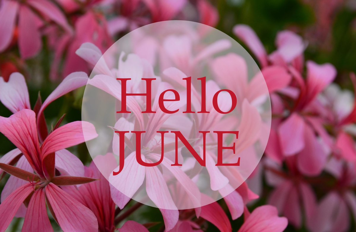 Teggybae's tweet photo. New month, new blessings 

WELCOME TO JUNE🥳🥳🥳 https://t.co/772SVBzBvf