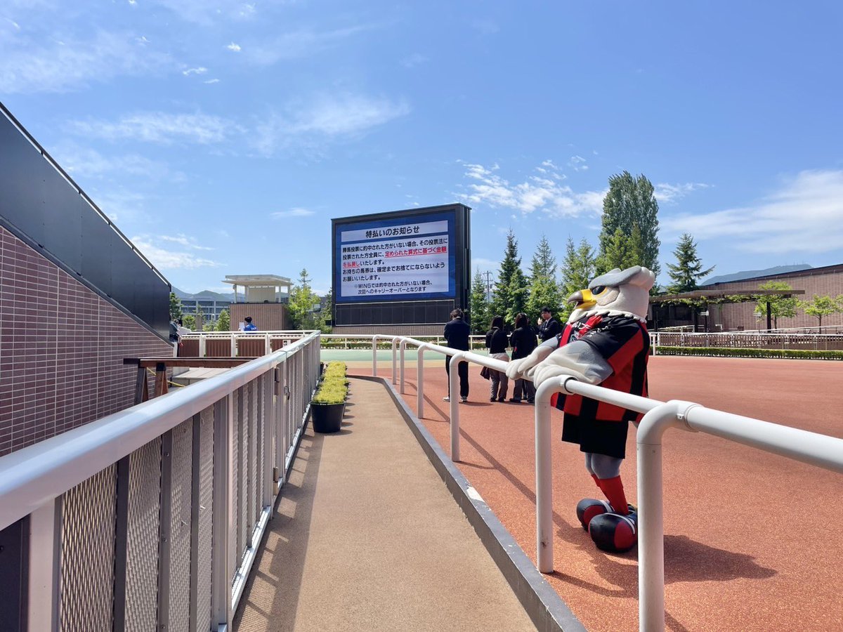 dolekun's tweet photo. 競馬場、とても楽しかったよ！🐴🏟️✨ https://t.co/2TwDP9ireN