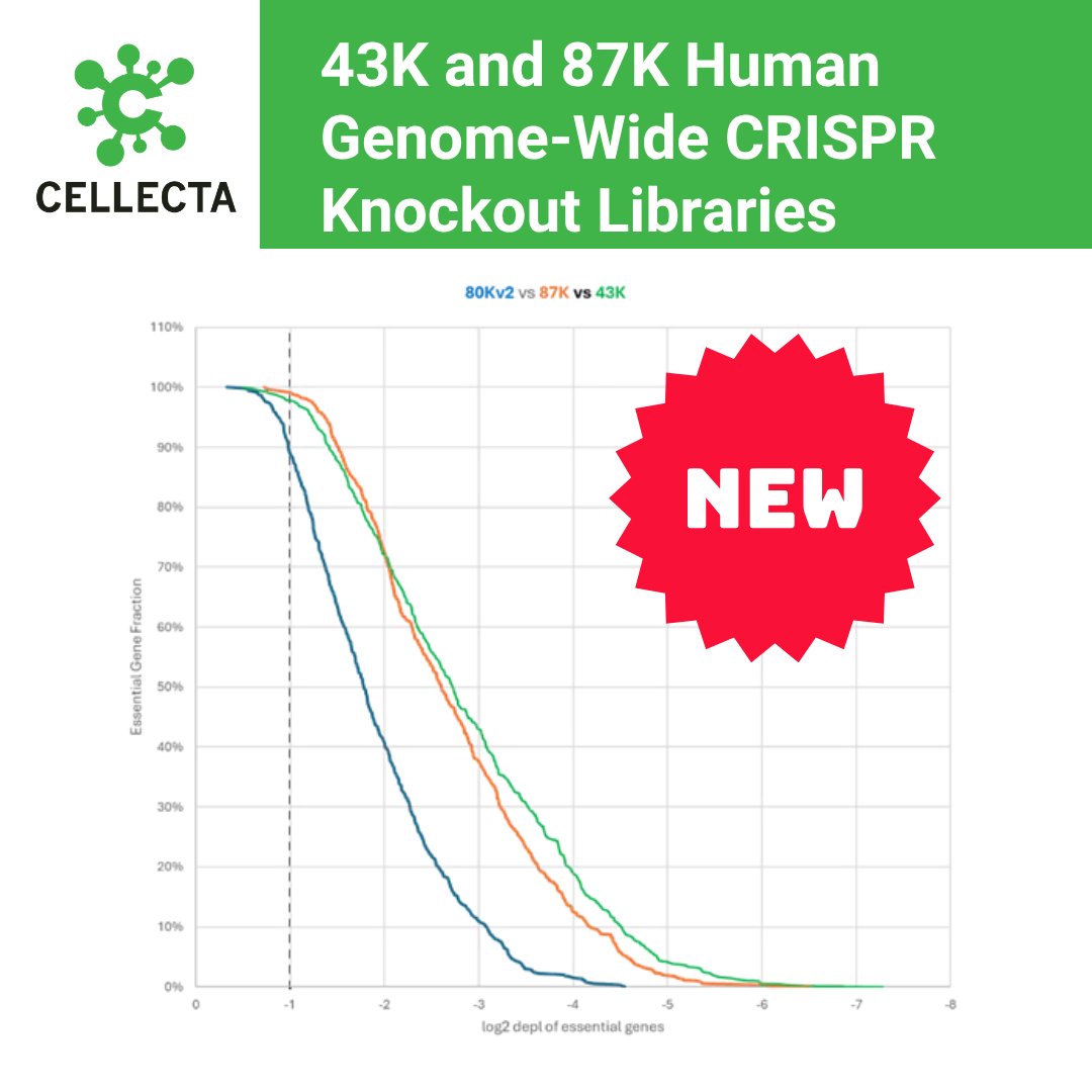 CELLECTA's tweet photo. 🚀 **Built for Better Genome-Wide Screens**

The latest **87K Human CRISPR Knockout Library** from Cellecta combines advanced guide design with enhanced tracrRNA architecture to support high-confidence functional screening.

Highlights:
• Targets ~19,382 genes and 1,859 microRNAs
• Includes extensive non-targeting and safe-harbor controls
• HECG tracrRNA design improves on previous generations
• Available in multiple vector formats and as packaged lentivirus

Designed to generate stronger depletion signals and more robust screening results compared with previous-generation libraries.

https://t.co/Ah8t7Sacfw

#CRISPR #FunctionalGenomics #GenomeWideScreening #GeneEditing #Biotech #Cellecta