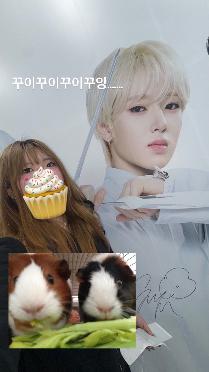 yuniarchive's tweet photo. 네오그라운드 다녀와씁니다!!!!!!!! https://t.co/8DKHjrYGeE