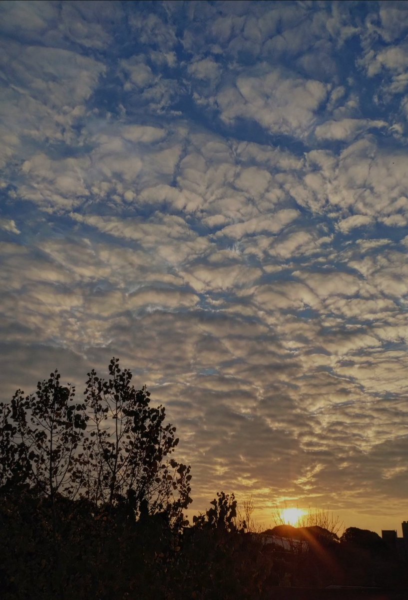 brown_1911's tweet photo. #Mataderos
Atardecer del domingo
#Otoño #CABA #BuenosAires 🇦🇷 https://t.co/j7iMMLsXSk