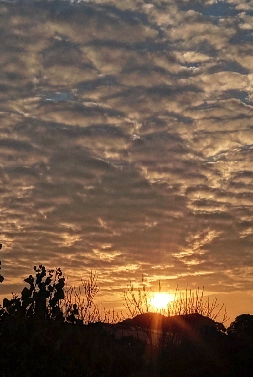 brown_1911's tweet photo. #Mataderos
Atardecer del domingo
#Otoño #CABA #BuenosAires 🇦🇷 https://t.co/j7iMMLsXSk