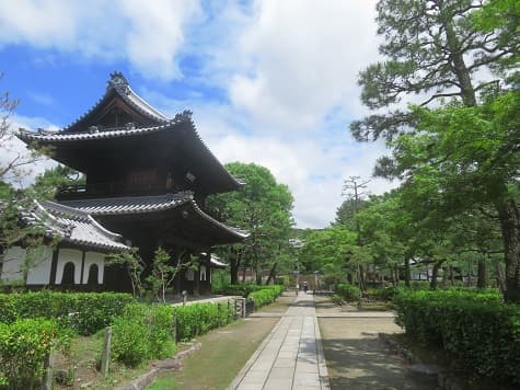 Kyoto_no_T's tweet photo. 京都市東山区の建仁寺。
まだ初夏の景色。
梅雨入り前の青空と緑が気分をからっと爽快にしてくれます。
https://t.co/ce7aH6QHqX #建仁寺 #京都観光 #kyoto https://t.co/LC5gGCxgb4