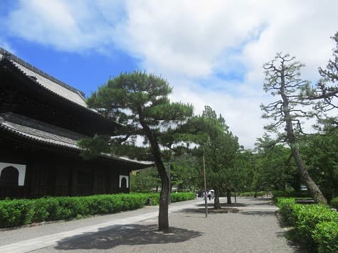 Kyoto_no_T's tweet photo. 京都市東山区の建仁寺。
まだ初夏の景色。
梅雨入り前の青空と緑が気分をからっと爽快にしてくれます。
https://t.co/ce7aH6QHqX #建仁寺 #京都観光 #kyoto https://t.co/LC5gGCxgb4