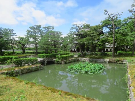 Kyoto_no_T's tweet photo. 京都市東山区の建仁寺。
まだ初夏の景色。
梅雨入り前の青空と緑が気分をからっと爽快にしてくれます。
https://t.co/ce7aH6QHqX #建仁寺 #京都観光 #kyoto https://t.co/LC5gGCxgb4