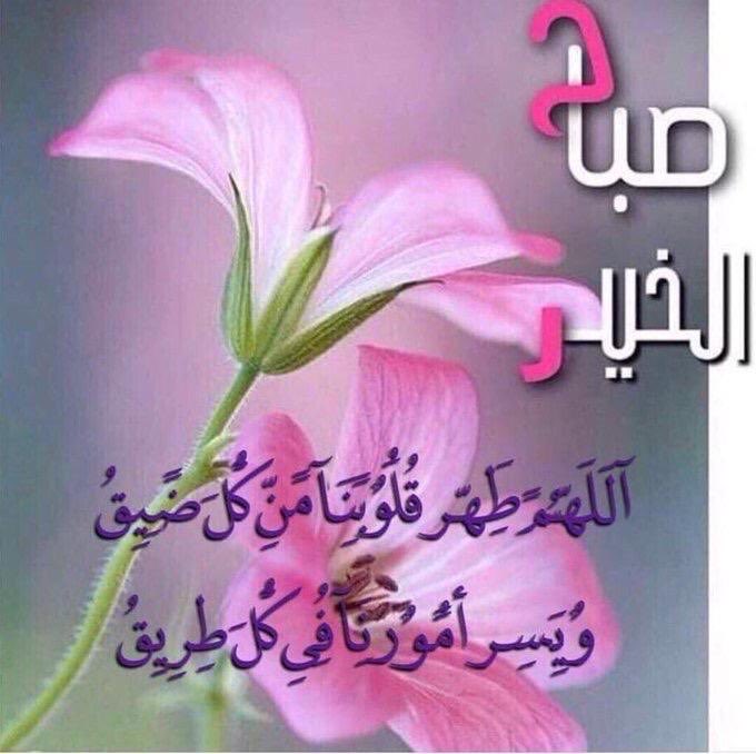 shyhant2's tweet photo. 🌷صباح الخير 🌷 https://t.co/SQAdU9Q1da