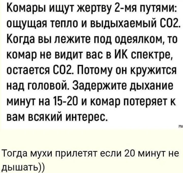 Aleksandr658074's tweet photo. Я комара поймал на теле
И убедил что он не прав 😠 https://t.co/ykGMv2uhh4
