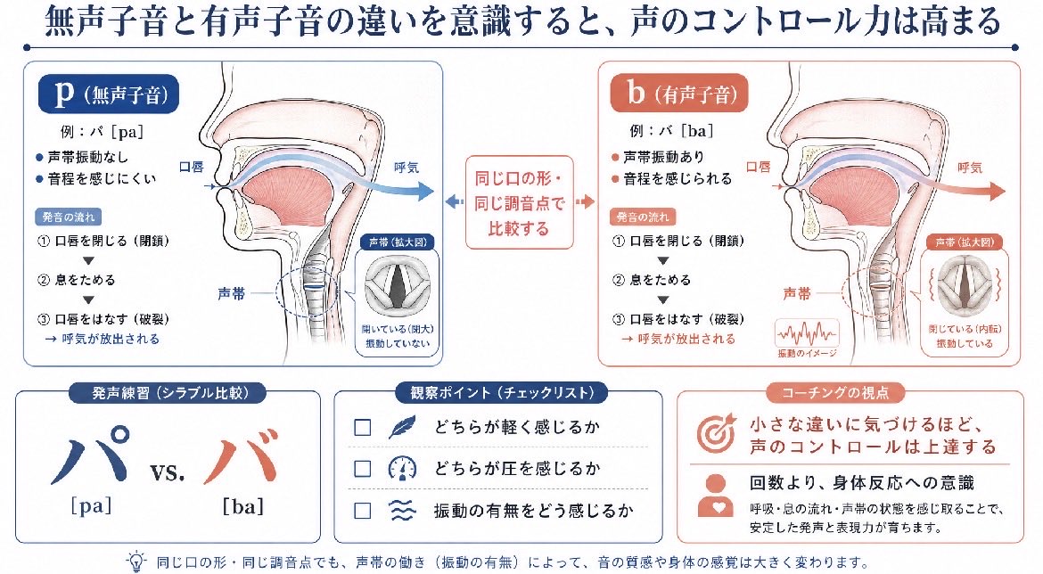 yumamvs's tweet photo. 💡声のコントロール力を高めたい方へ💡

ボイストレーニングでは、母音だけを繰り返したり、いつも同じ発音だけで練習してしまう方がいます。

もちろんそれに狙いがあれば良いのですが、より効率的に感覚を磨くためには《無声子音と有声子音の違い》を意識することがオススメです。

ポイントは、同じ口の形や摩擦ポジション（調音点）で比較すること。

例えば、
▶︎ p（無声子音）
・声帯の振動を伴わない
・音程は感じにくい

▶︎ b（有声子音）
・声帯が振動する
・音程が感じられる

「パ」と「バ」を出し比べながら、
✔どちらが軽く感じるか
✔どちらが圧を感じるか
など感覚の違いを観察してみてください。

声の成長を妨げる要因の1つは、
【変化に気づかないまま練習を続けてしまうこと】です。

反対に、小さな違いを感じ取れるようになると、声のコントロール技術は大きく向上します。

トレーニングは、無闇に回数を重ねるのではなく、自分の身体の反応に意識を向けてみてください。

その細かな積み重ねが、より自由で安定した声につながります。