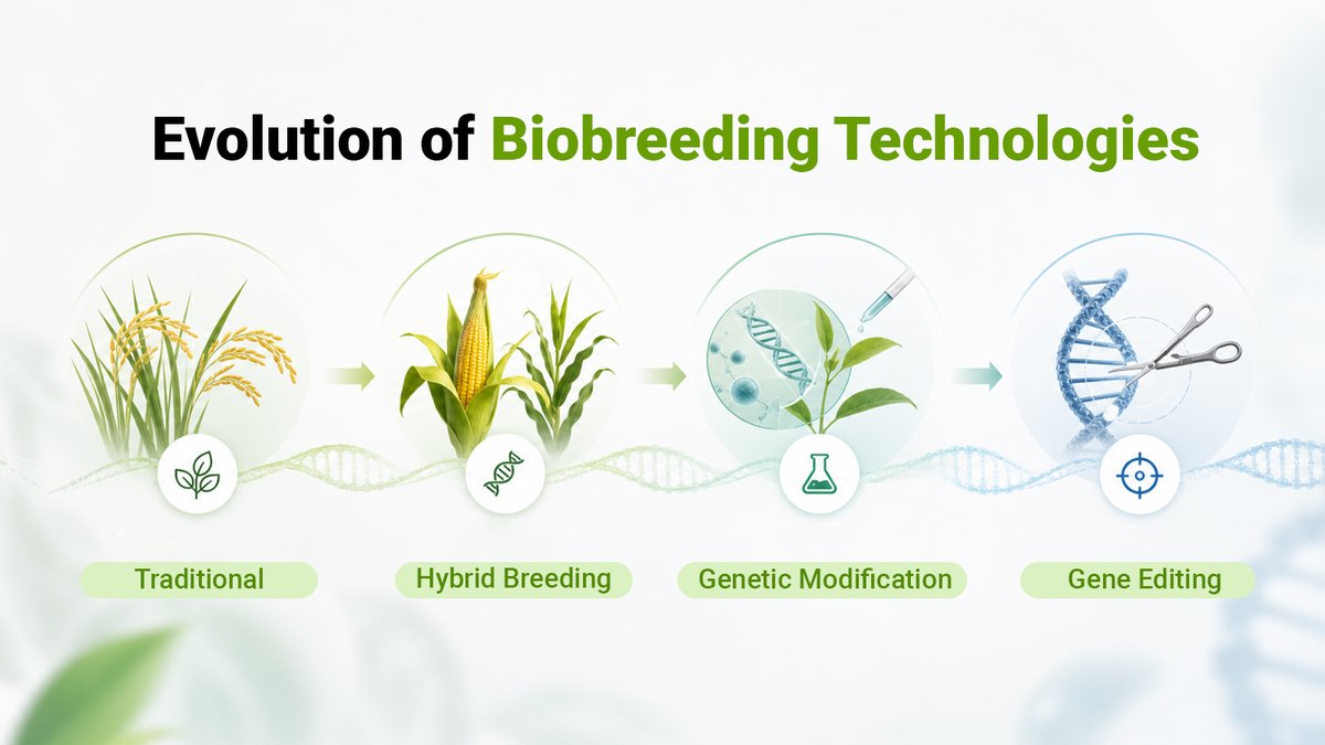 Sept77767's tweet photo. The commercialization of gene editing (CRISPR) technology has shortened the breeding cycle of stress-resistant and high-yield crops by 50%.

The penetration rate of genetically modified crops has increased to 40%, with corn and soybeans becoming the main varieties.

Controlling seeds means controlling the lifeline of agriculture and ensuring food self-sufficiency and security.🌱