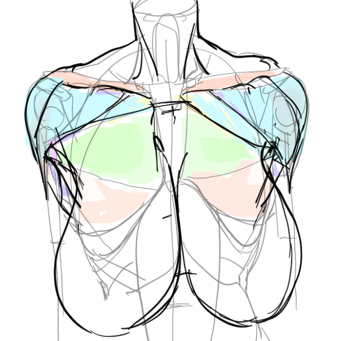 study, found out how to actually attach them