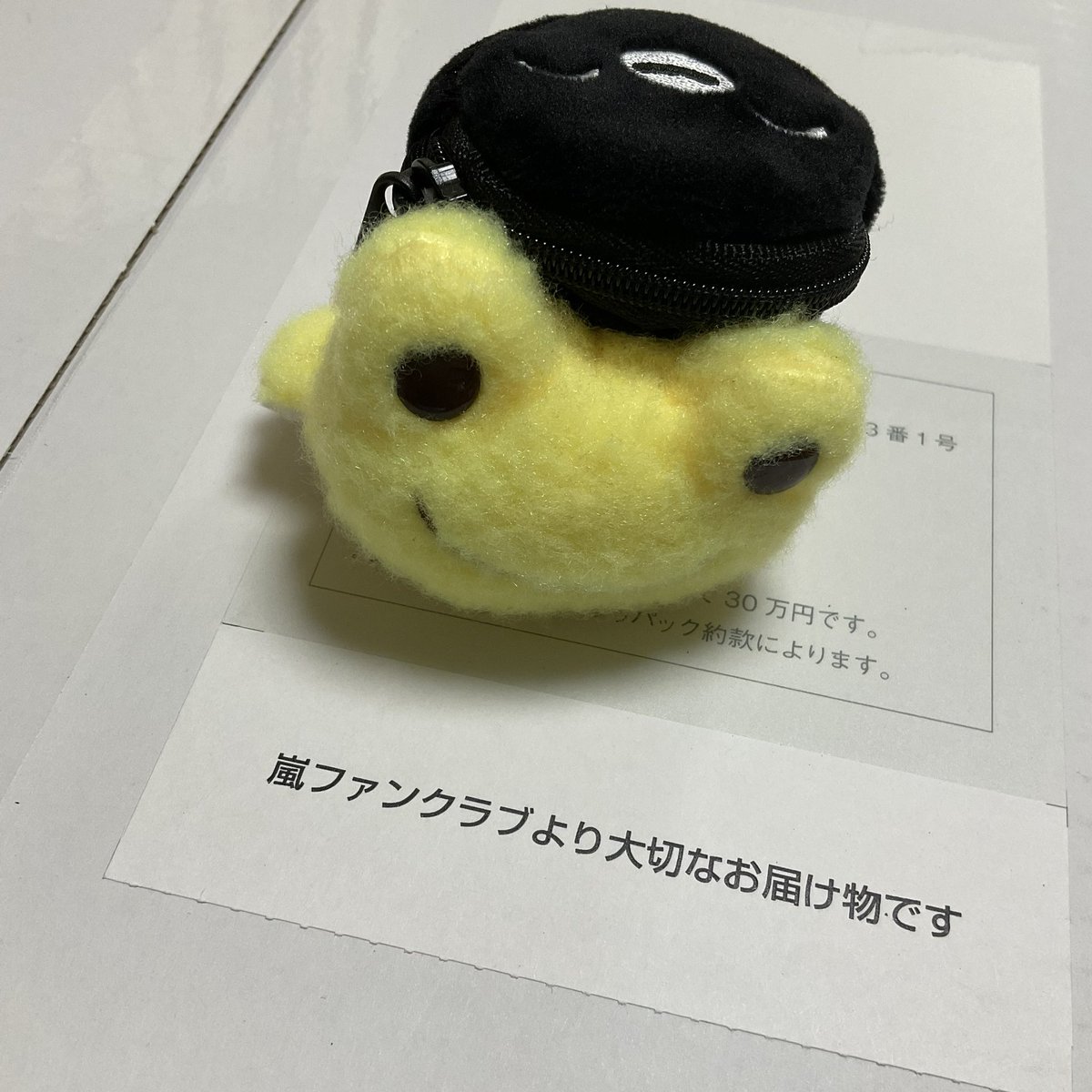 Rabbit_MooN_7's tweet photo. 2026年6月1日(月)

#嵐ファンクラブより大切なお届け物です

フォトアルバムって書いてあったけど、これは開けてからのお楽しみ💕

何かな？

#かえるのピクルス https://t.co/6VUoPABiXq