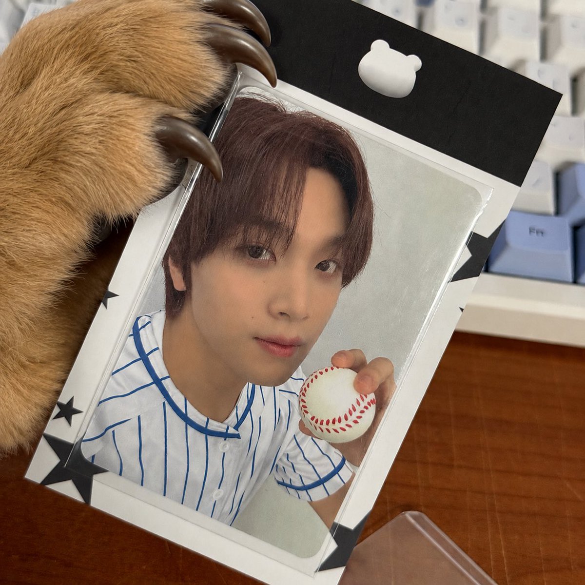 kingwangjjo's tweet photo. 포카샀음 https://t.co/8b4o1Iiguq