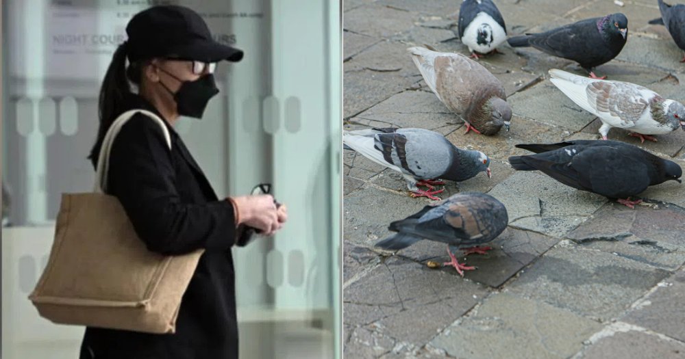 MothershipSG's tweet photo. S'pore woman, 64, fined S$6,500 after repeatedly feeding pigeons in attempt to 'rescue' them https://t.co/PpUPVTbeLW https://t.co/jORI4DrakS