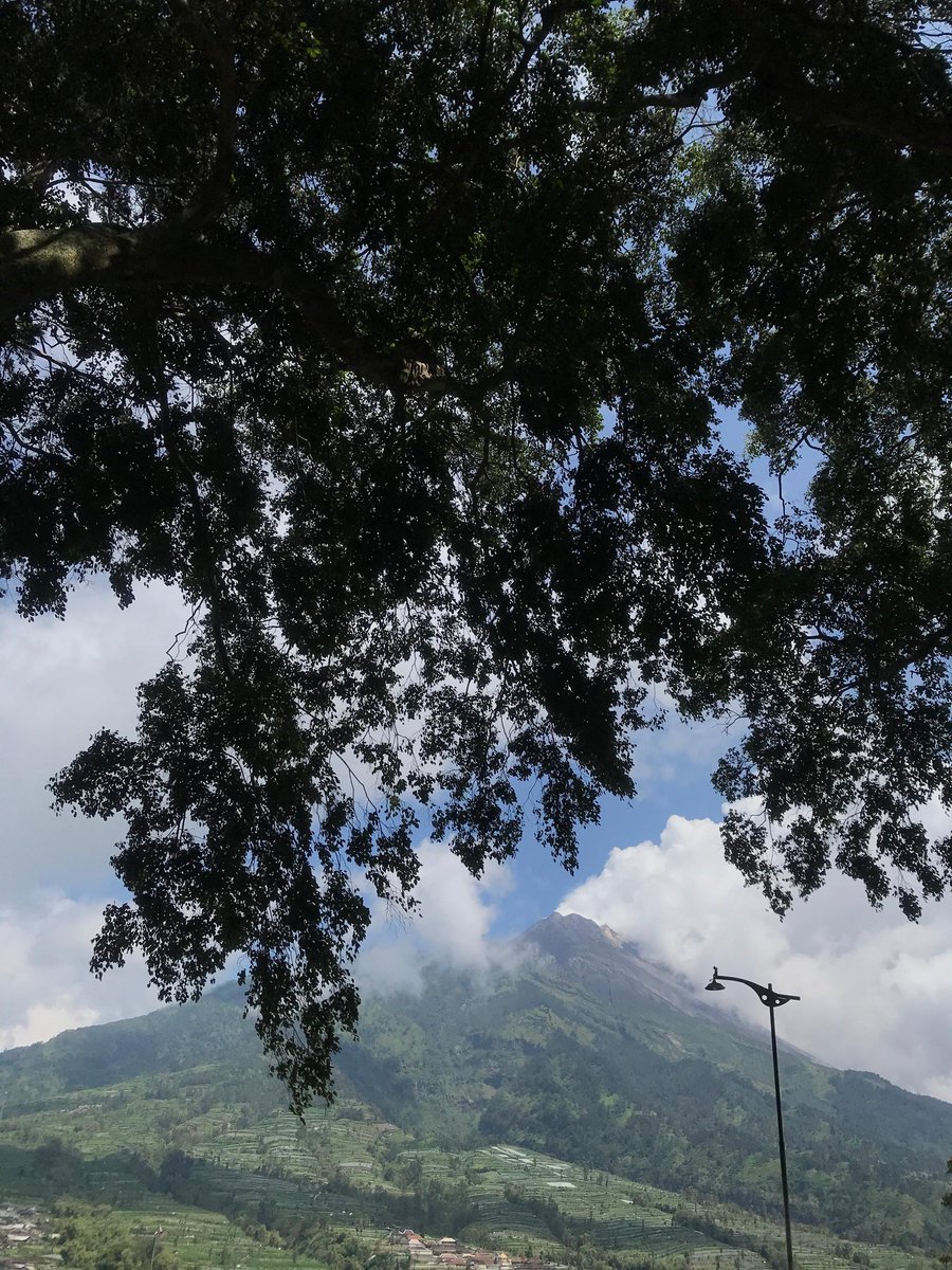 1976lad's tweet photo. ⛰️🌳🌲🍃 https://t.co/gwVOryMPFC