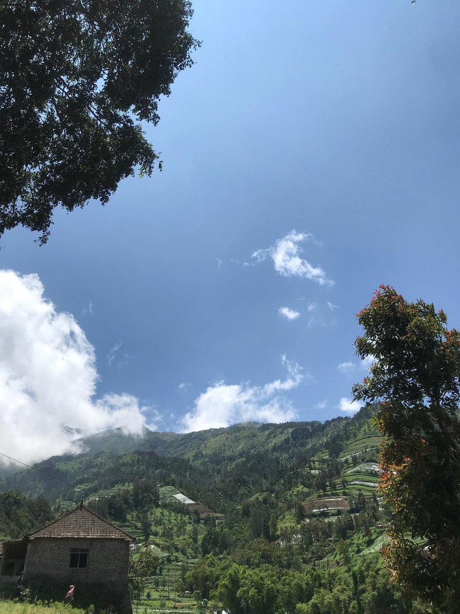 1976lad's tweet photo. ⛰️🌳🌲🍃 https://t.co/gwVOryMPFC