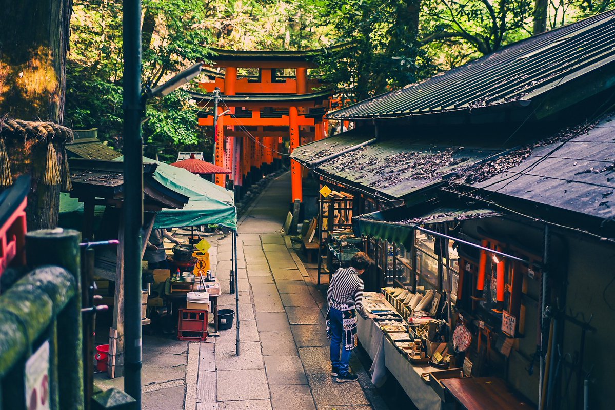 crjustus's tweet photo. The Torii gates of Kyoto, Japan. 🇯🇵 https://t.co/DbDSIYCuIK