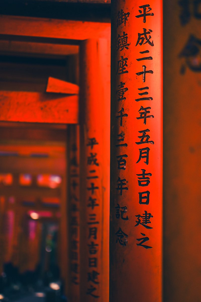 crjustus's tweet photo. The Torii gates of Kyoto, Japan. 🇯🇵 https://t.co/DbDSIYCuIK