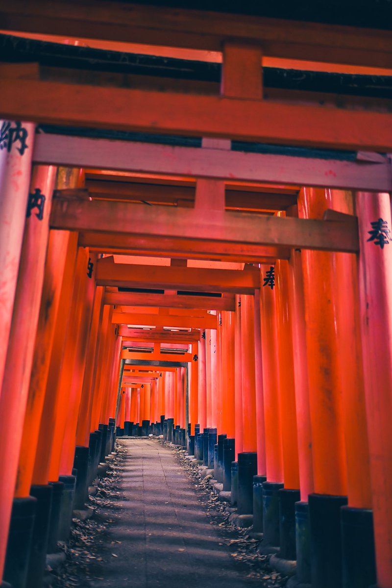 crjustus's tweet photo. The Torii gates of Kyoto, Japan. 🇯🇵 https://t.co/DbDSIYCuIK
