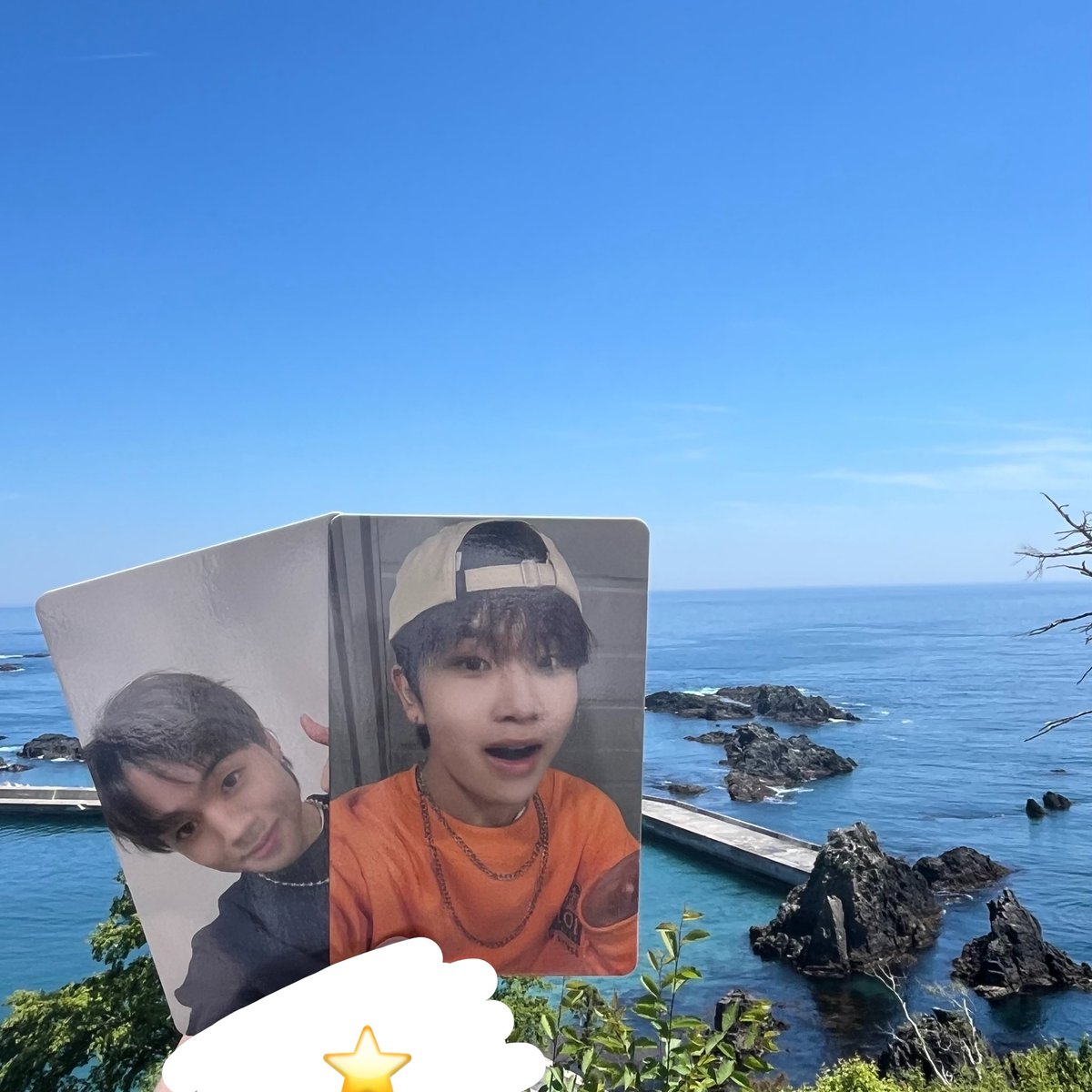 しまんちゅ tweet media