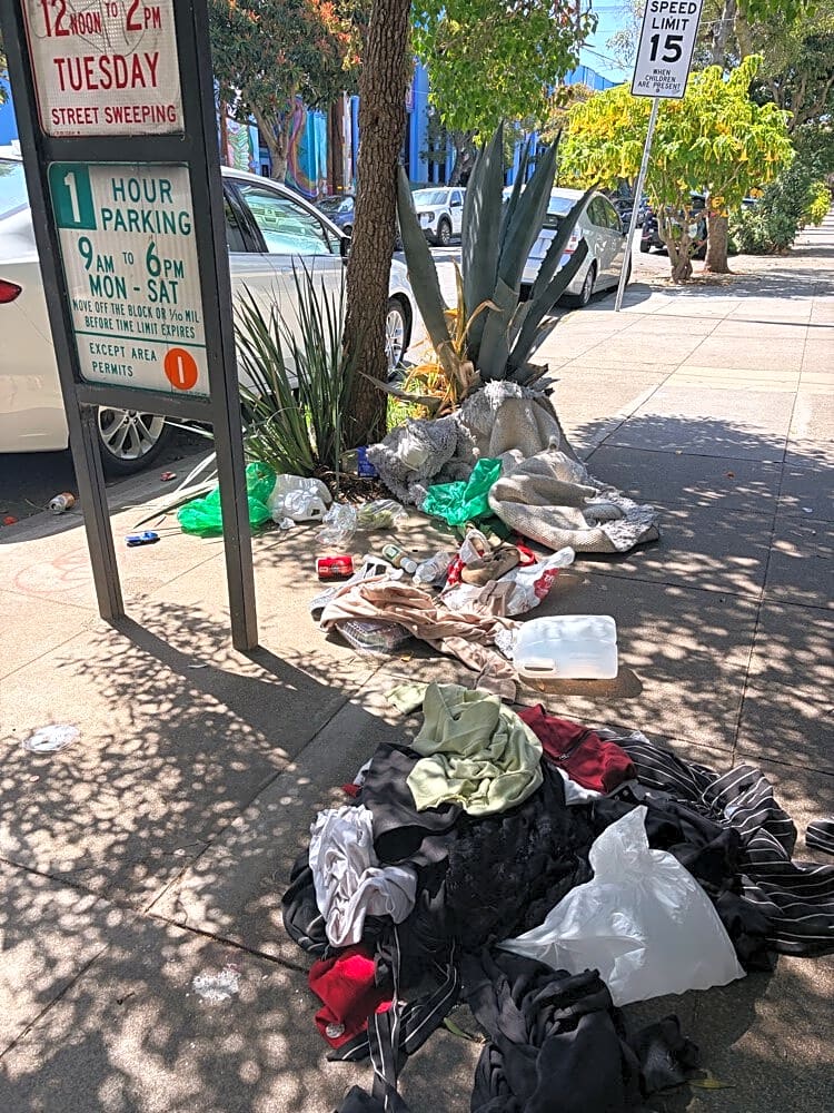 solve_sf's tweet photo. A couple of the 789 trash reports from today (so far). https://t.co/avn2bPOE0A