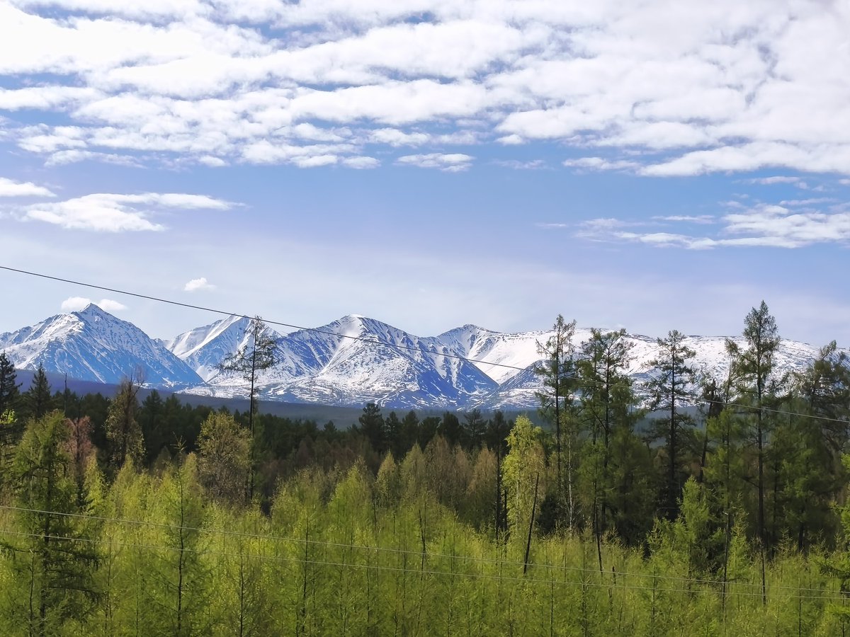 Anatolii_Angler's tweet photo. Where heavy industry meets untouched wilderness. The view from the site today is absolutely unreal. Hard at work funding the global fishing project, but you have to stop and admire this scenery. 🌲 #Industrial #Wilderness #WorkEthic #ShiftWork #Views https://t.co/HPuPD0zHx5