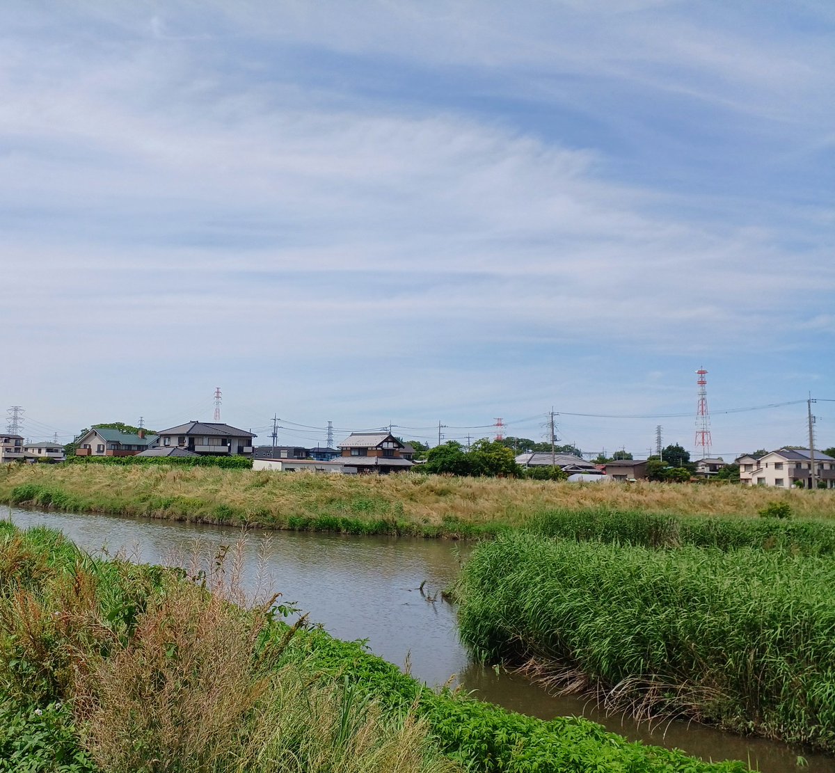 torosso7's tweet photo. こんにちはー(*^^)v
今日も埼玉はとても暑くて夏みたいです。日焼けできそうだw
午後も頑張っていきましょー！
 #イマソラ https://t.co/WkHVVWYbHL