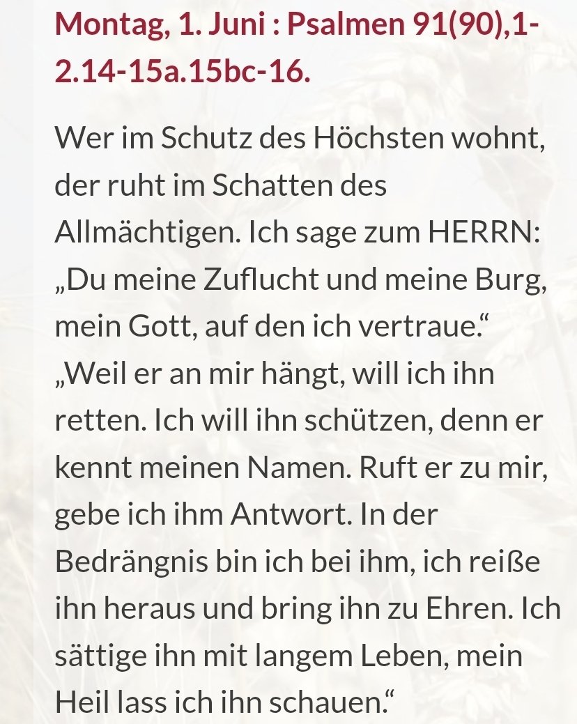 Bellfrell's tweet photo. Mit dem heutigen Psalm wünsche ich euch allen einen gesegneten und schönen Tag im #HerzJesuMonat! https://t.co/BoWGFOVZlb