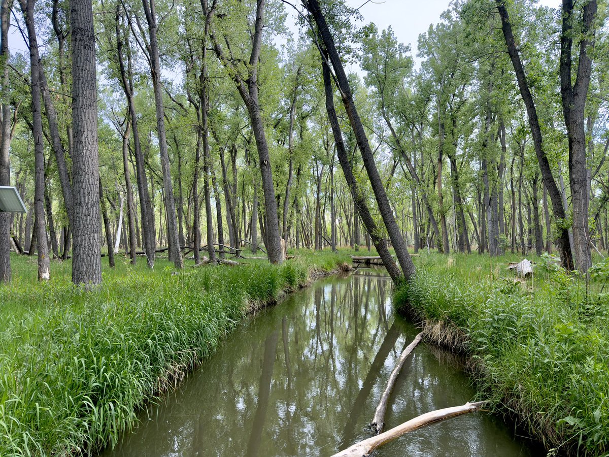 mr_visual_me's tweet photo. Colorado weekends #Denver #nature https://t.co/hSI1w5ut3Z