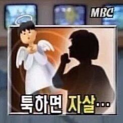 🌨️(상태:씨발사우르스) tweet media