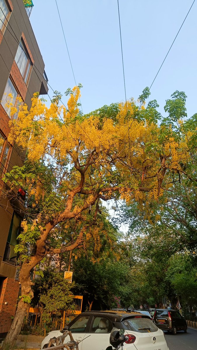 Manisha15540844's tweet photo. https://t.co/c4aqS1aCbS