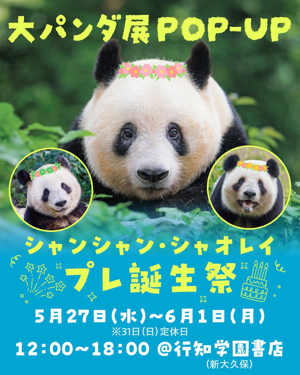 ୨୧‥∵‥‥∵‥‥∵‥‥∵‥୨୧ イベント情報 ୨୧‥∵‥‥∵‥‥∵‥‥∵‥୨୧ 新