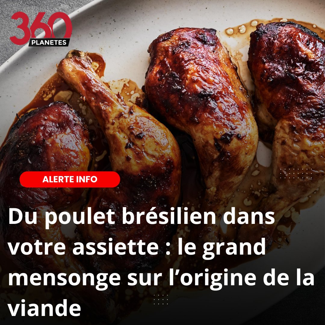 Planetes360's tweet photo. Du poulet brésilien dans votre assiette, mais une origine maquillée derrière des étiquettes européennes. ⚠️

Réemballage aux Pays-Bas, transformation en nuggets, affichage flou dans les fast-foods : le consommateur croit choisir, mais l’industrie brouille les pistes. Quand l’origine disparaît derrière la transformation, ce n’est plus seulement un problème alimentaire : c’est une question de souveraineté, de transparence et de mensonge organisé.

Quand un produit peut traverser le monde, changer d’apparence, ressortir « européen » et finir dans l’assiette des Français sans qu’ils le sachent, parle-t-on encore de libre choix du consommateur ou d’un système qui organise sciemment son ignorance ? 🧨