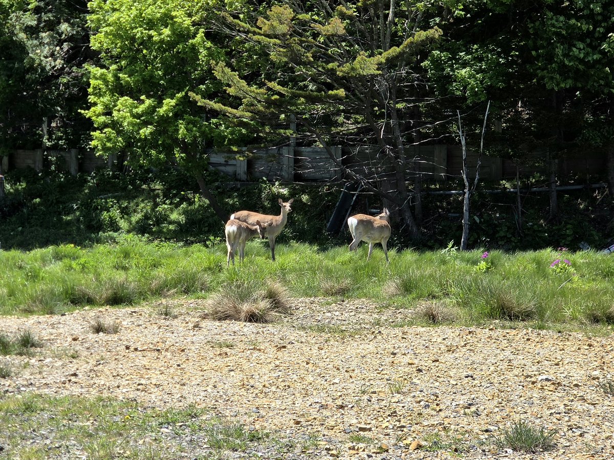 mayfly0211's tweet photo. 稚内四日目

今日の最高気温は21度とのことだけど相変わらず強い風

母親は朝からデイサービス
「夕方までゆっくりしておいで」とのことで午前中から温泉へ

湯に浸かった後は、大好きな景色を見ながらサッポロクラシックをグイッ

明日の夕方にはいつもの生活に戻るのかぁ
#稚内 
#港のゆ 
#wakkanai https://t.co/qWIKJFcMx8