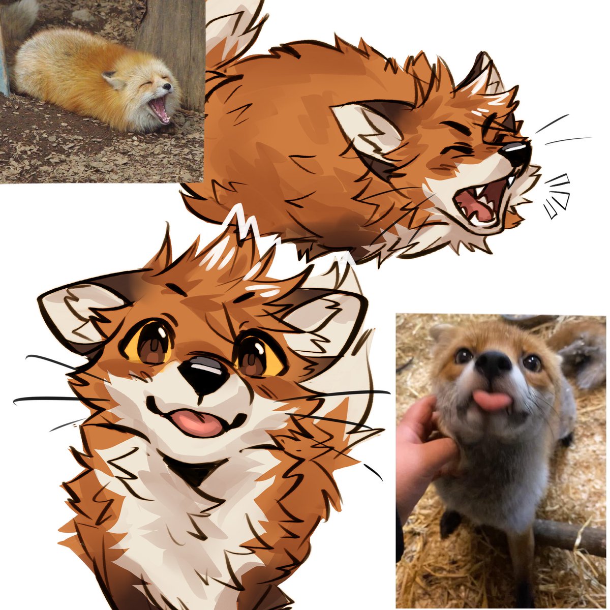 atkasoo's tweet photo. new pedrito art 🦊 https://t.co/jkx1Q9sZrk
