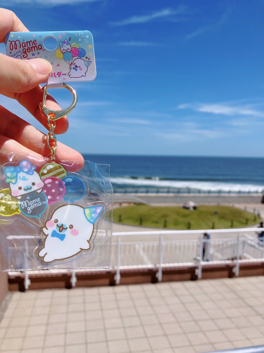 penponDASH's tweet photo. 水族館のお店でまめゴマのキーホルダー売ってて最高なんだけど！o(>ﾛ<o) (o>ﾛ<)o https://t.co/TaMjpZsGOw