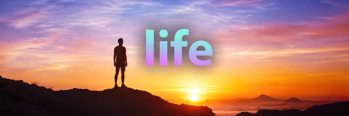 jimothy_phd's tweet photo. guys... we need MORE TWEETS 

post: SOLANA IS LIFE

and in the replies post your wallet. https://t.co/8bCYLz8Thm