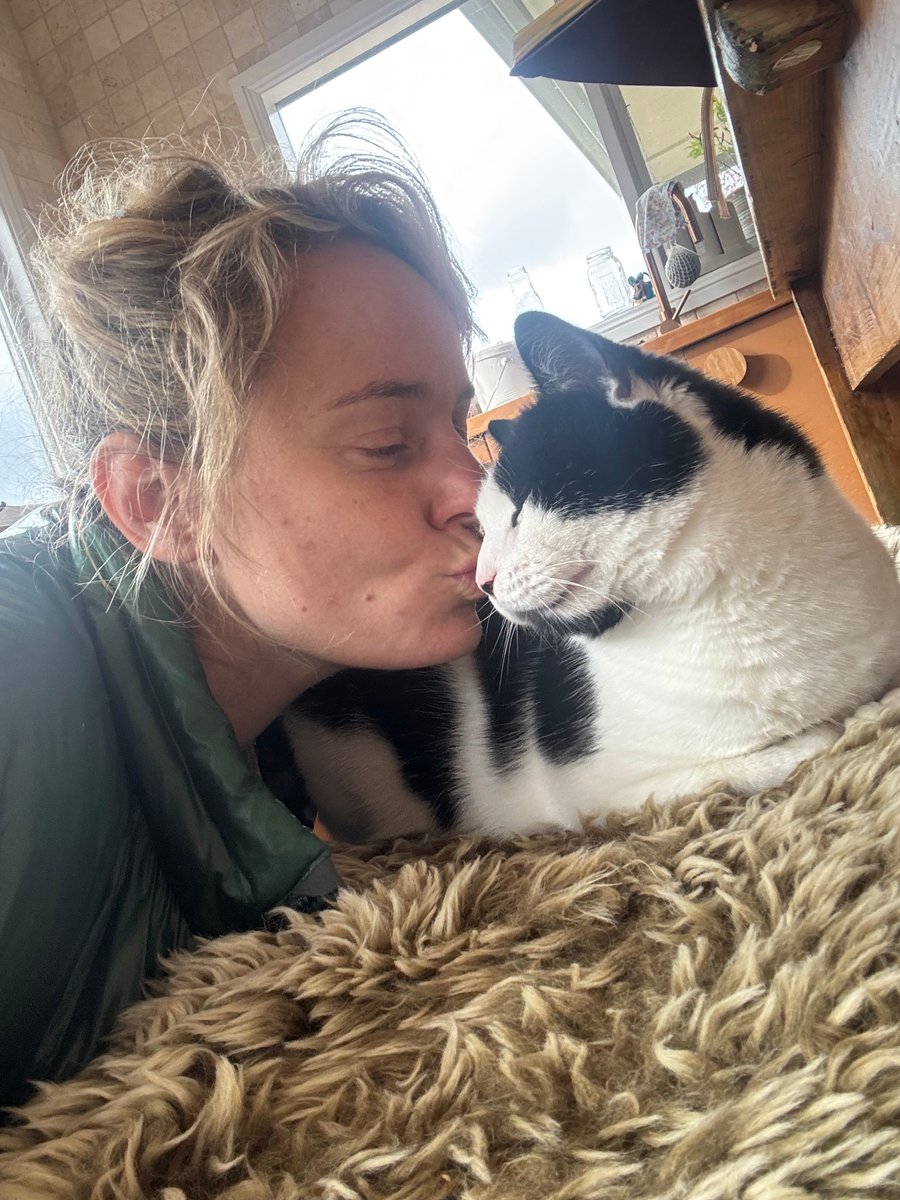 LortSmith's tweet photo. We’re starting the week with some wonderful news. After spending 270 days waiting for a family of his own, our longest resident and favourite feline Buckley, has finally found his forever home!
The two-year-old charmer recently headed home with Rachael and her dog Boji, and it’s safe to say he has settled in exactly where he belongs.
“I don’t understand what took so long for him to get adopted,” Rachael said. “He can be a little naughty, but he is a cat. He’s so cuddly and affectionate, just adorable and beautiful.”
After recently losing her cat that she adopted from Lort Smith 14 years ago, Rachael said she missed having a cat at home and was ready to welcome another one into her life.
“I was looking at a lot of cats online, and Buckley looked just like my old cat,” she said.
The connection was instant when they met at our Campbellfield Adoption Centre.
“When I met him, he was pretty chill and affectionate, very inquisitive, just everything you want in a cat.”
Now happily settled into his new home, Buckley has quickly become part of the family.
“He sits in the window and waits for me to come home. He’s exactly what I need,” Rachael said.
Described by his new mum as “a character”, Buckley has fully embraced home life.
“He’s just a dude, a bro,” she laughed. “He likes to chill, enjoys sitting by the fireplace and running up and down the hallway. He’s a bit chunky so it sounds like he’s galloping.”
Buckley and Boji have also become firm friends.
“They play together, Buckley stalks him a little, but he knows Boji’s boundaries,” Rachael said. “They give each other nose touches and kisses.”
After nine months of waiting, we couldn’t be happier to see Buckley finally enjoying the loving home he deserves. Thank you to Rachael and Boji for giving this beautiful boy the fresh start he’s been waiting for.