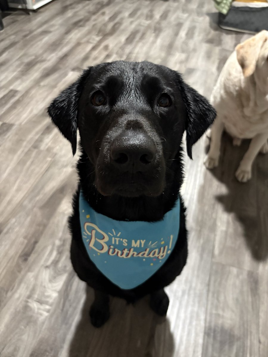 SjimXcv's tweet photo. Otis!! https://t.co/Tl7DSckkbX