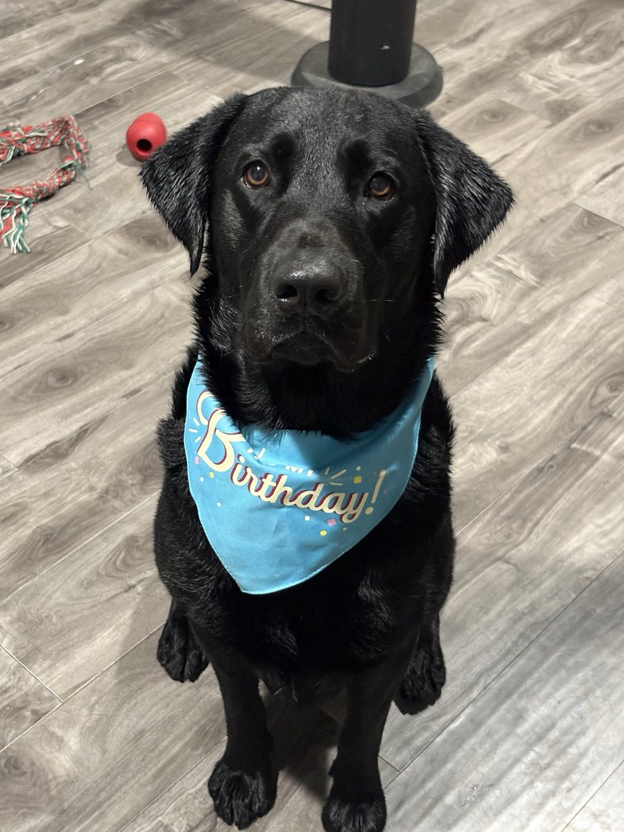 SjimXcv's tweet photo. Otis!! https://t.co/Tl7DSckkbX