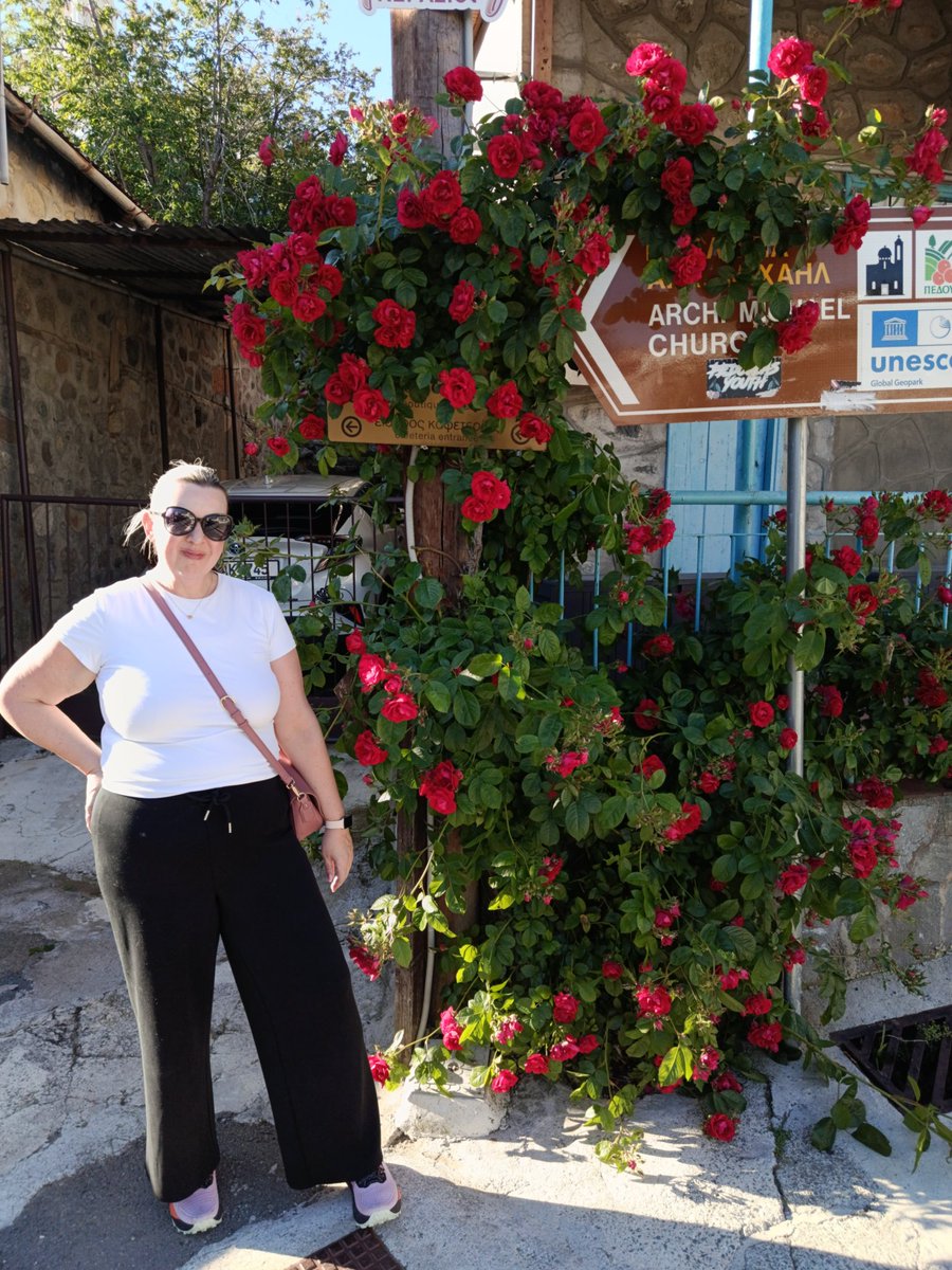 charli_says's tweet photo. Yes I will stop and smell every single rose on our walk. Yes the walk will take 3 x longer. 🌹💐🥀

#CharliSays #flowers  #prettythings #Cyprus https://t.co/HPOjKgjmUa