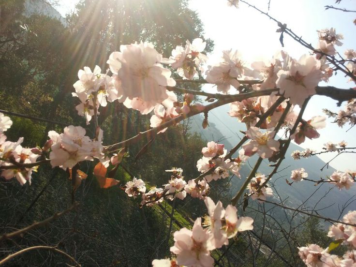 GadeSaotome's tweet photo. 𝐖𝐄𝐋𝐂𝐎𝐌𝐄 soy Gade :3 
₊˚꩜ #𝓅𝓇ℴ𝓂ℴ𝓉𝓌𝓉 #𝓂𝓊𝓉𝒾𝓈 ✮˚₊ 
⏔⏔⏔ ꒰ ᧔ෆ᧓ ꒱ ⏔⏔⏔
---> ella // él   ✮ ⋆ ˚｡𖦹 ⋆｡°✩  busco Mutis 
Me gusta el anime e interactuar con mis Mutis (⁠人⁠ ⁠•͈⁠ᴗ⁠•͈⁠) https://t.co/H58j7ANW2j
